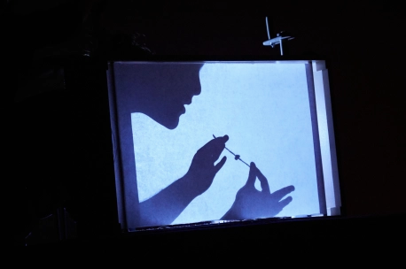 Myra Su - shadow puppet in crankie