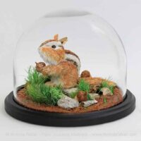 Chipmunk_1_Melinda_Fabian_9inch_3bc 