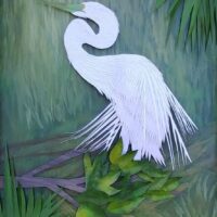 Great Egret with Plumage 